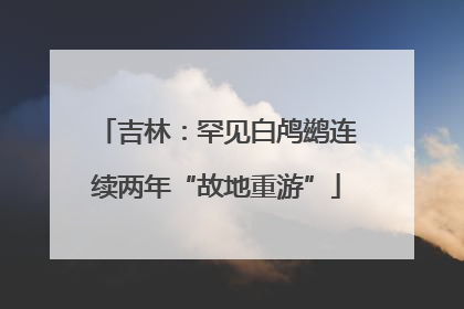 吉林：罕见白鸬鹚连续两年“故地重游”