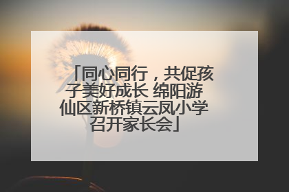 同心同行，共促孩子美好成长 绵阳游仙区新桥镇云凤小学召开家长会