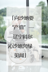 向沙地要“产值”——辽宁科尔沁沙地兴绿见闻