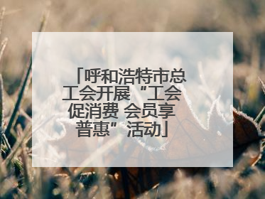 呼和浩特市总工会开展“工会促消费 会员享普惠”活动