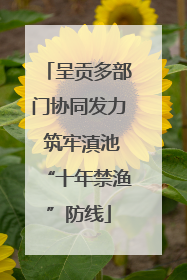 呈贡多部门协同发力 筑牢滇池“十年禁渔”防线