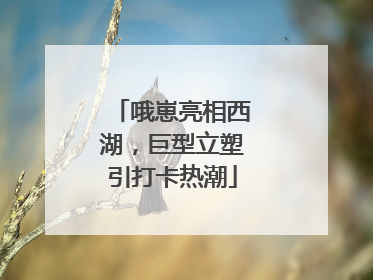 哦崽亮相西湖，巨型立塑引打卡热潮