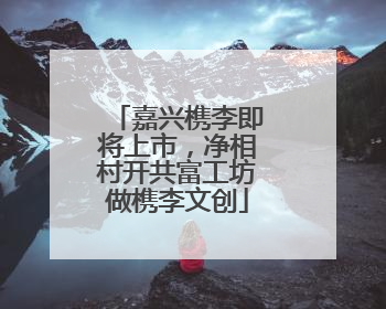嘉兴槜李即将上市，净相村开共富工坊做槜李文创