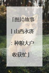图片故事丨山西永济：种粮大户收获忙