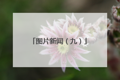 图片新闻（九）