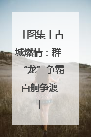 图集丨古城燃情：群“龙”争霸 百舸争渡