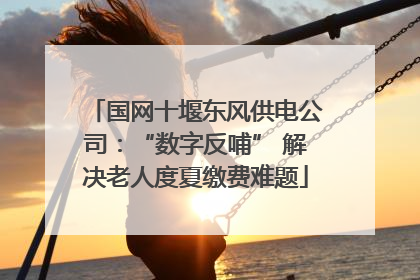 国网十堰东风供电公司：“数字反哺” 解决老人度夏缴费难题