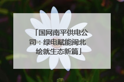国网南平供电公司：绿电赋能闽北 绘就生态新篇
