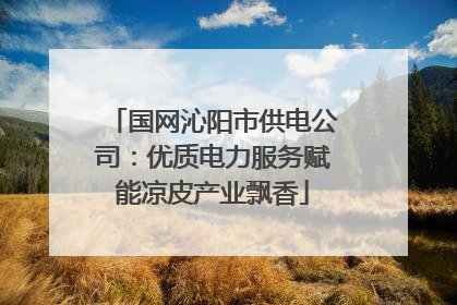 国网沁阳市供电公司：优质电力服务赋能凉皮产业飘香