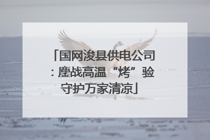 国网浚县供电公司：鏖战高温“烤”验 守护万家清凉