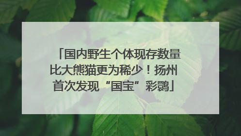 国内野生个体现存数量比大熊猫更为稀少！扬州首次发现“国宝”彩鹮
