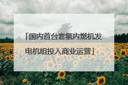 国内首台套氢内燃机发电机组投入商业运营