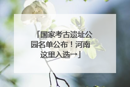 国家考古遗址公园名单公布！河南这里入选→