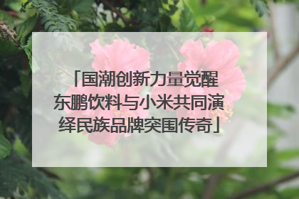 国潮创新力量觉醒 东鹏饮料与小米共同演绎民族品牌突围传奇