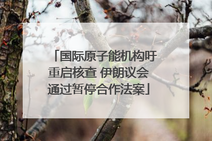 国际原子能机构吁重启核查 伊朗议会通过暂停合作法案