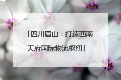 四川眉山：打造西南天府国际物流枢纽