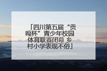 四川第五届“贡嘎杯”青少年校园体育联赛闭幕 乡村小学表现不俗
