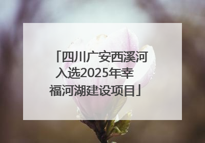 四川广安西溪河入选2025年幸福河湖建设项目