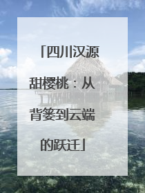 四川汉源甜樱桃：从背篓到云端的跃迁
