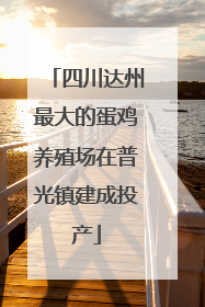 四川达州最大的蛋鸡养殖场在普光镇建成投产