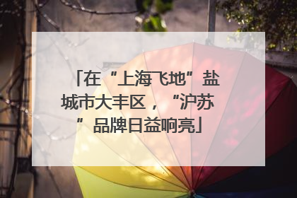 在“上海飞地”盐城市大丰区，“沪苏”品牌日益响亮