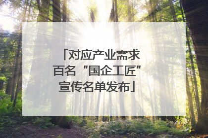 对应产业需求 百名“国企工匠”宣传名单发布