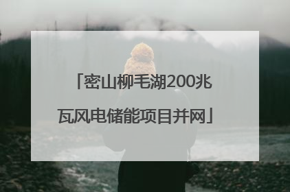 密山柳毛湖200兆瓦风电储能项目并网