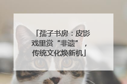 孺子书房：皮影戏里赏“非遗”，传统文化焕新机
