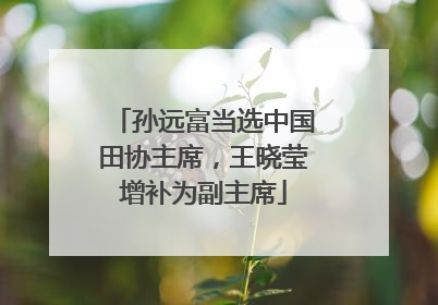 孙远富当选中国田协主席，王晓莹增补为副主席