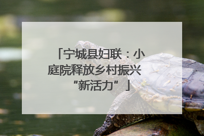 宁城县妇联：小庭院释放乡村振兴“新活力”