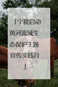 宁夏启动黄河流域生态保护主题宣传实践月