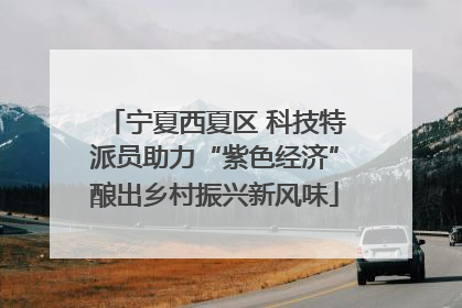 宁夏西夏区 科技特派员助力“紫色经济”酿出乡村振兴新风味