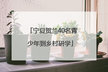 宁夏贺兰40名青少年到乡村研学