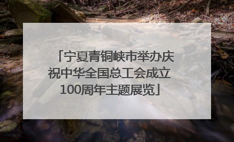 宁夏青铜峡市举办庆祝中华全国总工会成立100周年主题展览