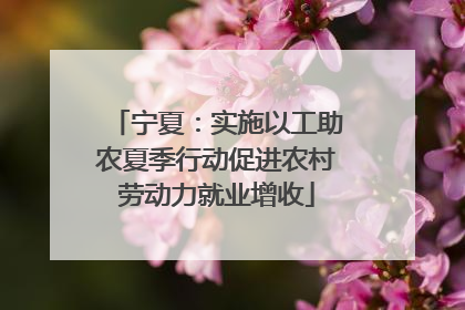 宁夏：实施以工助农夏季行动促进农村劳动力就业增收