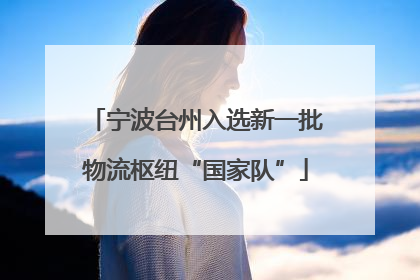 宁波台州入选新一批物流枢纽“国家队”