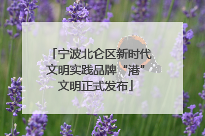 宁波北仑区新时代文明实践品牌“港”文明正式发布