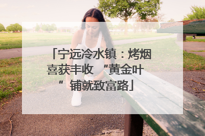 宁远冷水镇：烤烟喜获丰收 “黄金叶”铺就致富路