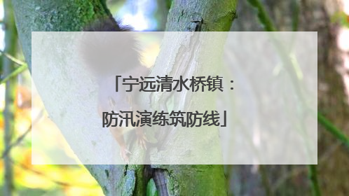 宁远清水桥镇：防汛演练筑防线