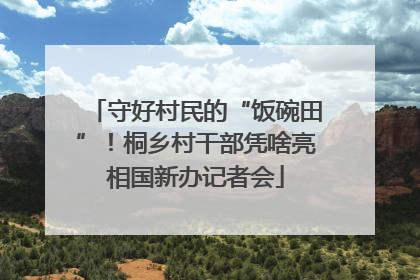 守好村民的“饭碗田”！桐乡村干部凭啥亮相国新办记者会
