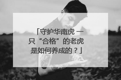 守护华南虎 一只“合格”的老虎是如何养成的？