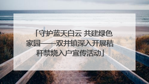 守护蓝天白云 共建绿色家园——双井镇深入开展秸秆禁烧入户宣传活动