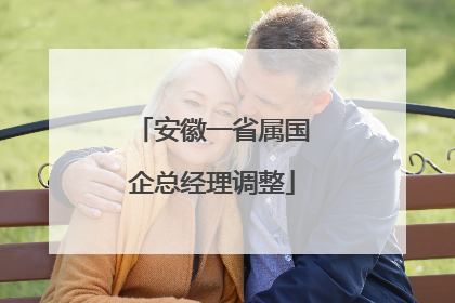 安徽一省属国企总经理调整