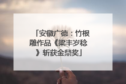 安徽广德：竹根雕作品《梁丰岁稔》斩获金鼎奖