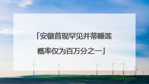 安徽首现罕见并蒂睡莲 概率仅为百万分之一