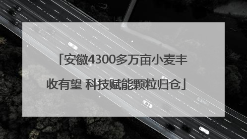 安徽4300多万亩小麦丰收有望 科技赋能颗粒归仓