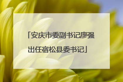 安庆市委副书记廖强出任宿松县委书记