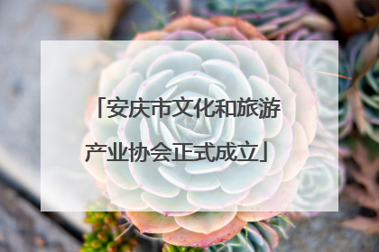 安庆市文化和旅游产业协会正式成立