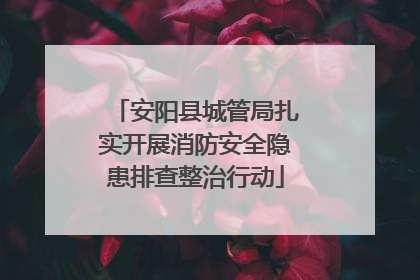 安阳县城管局扎实开展消防安全隐患排查整治行动
