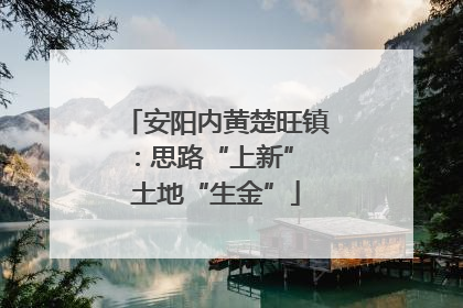 安阳内黄楚旺镇：思路“上新” 土地“生金”